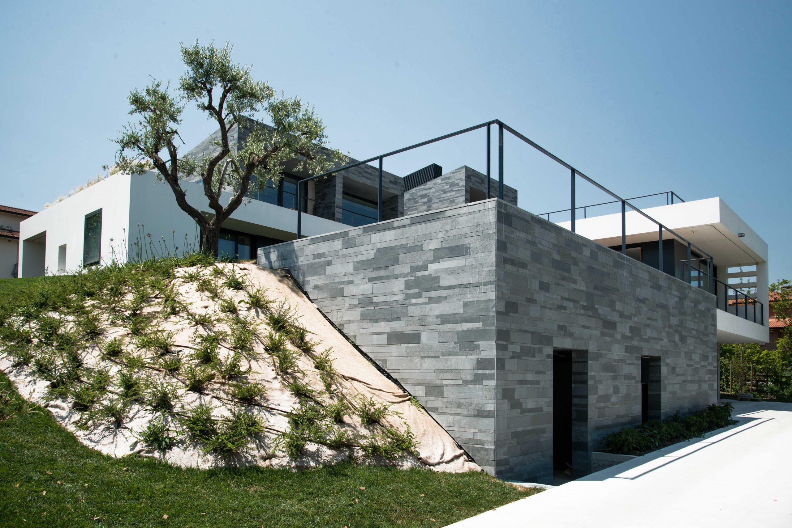 Artesia caimi international