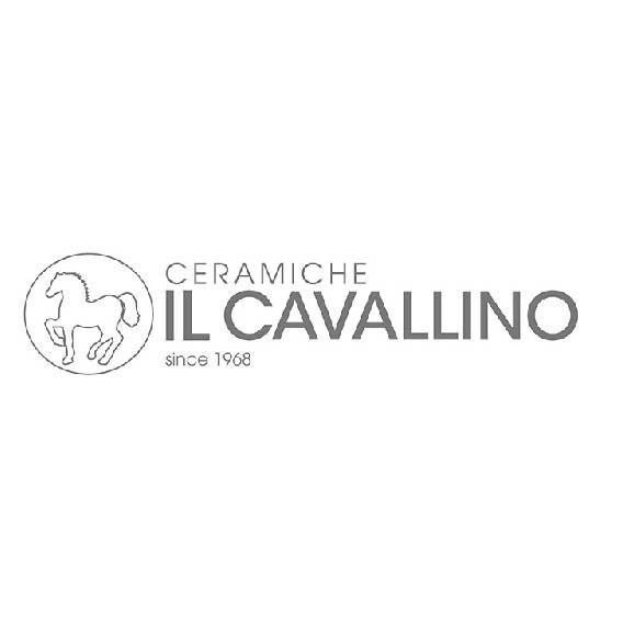 Cavallino caimi international