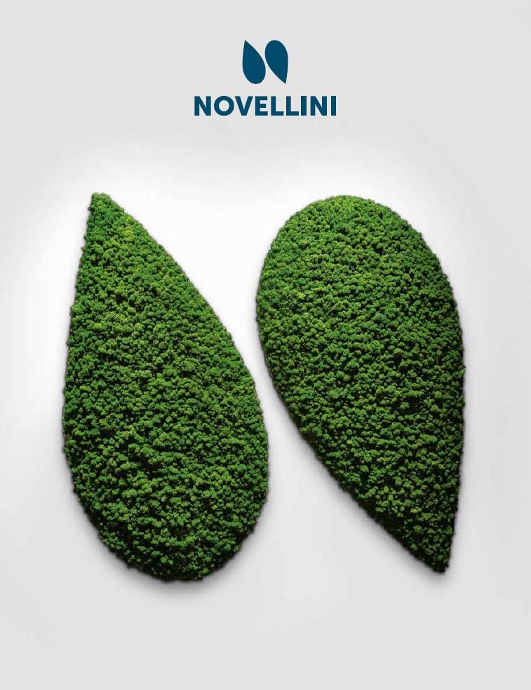 Novellini caimi international