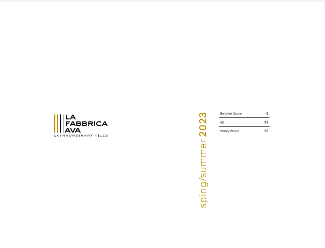 Caimi internetional ava