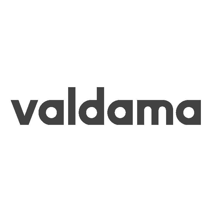 logo valdama caimi international