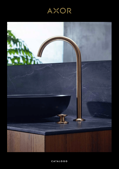 Caimi internetional axor sink