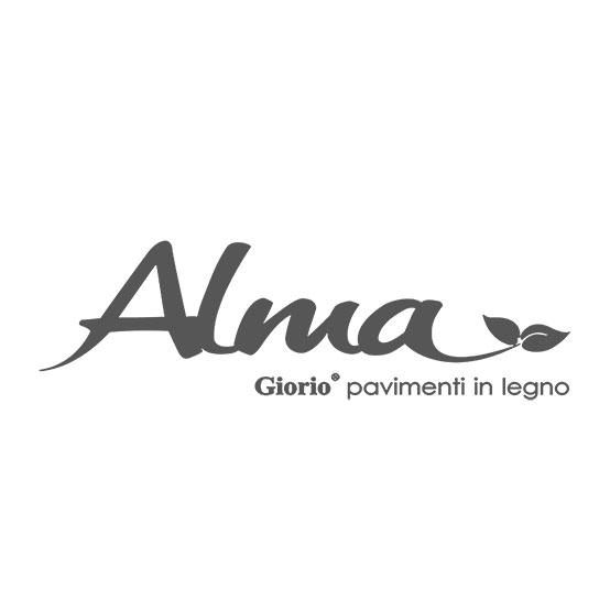 Alma logo grigio caimi international