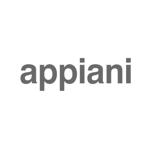 Logo Appiani grigio caimi international