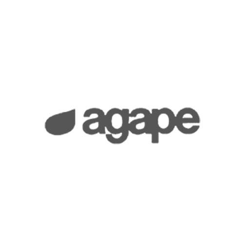 logo agape grigio caimi international