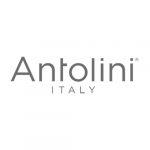 logo antolini grigio caimi international