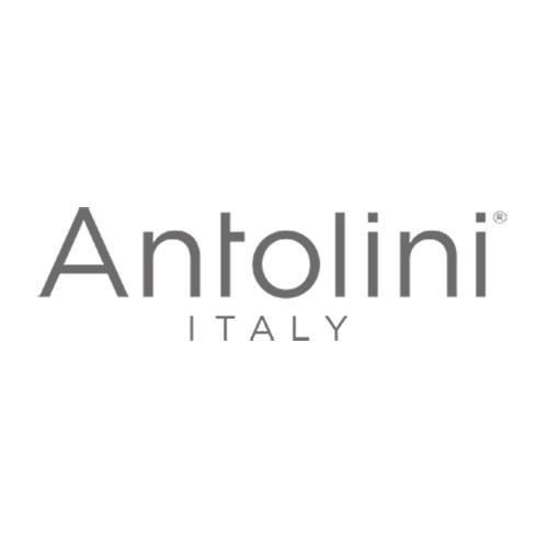 logo antolini grigio caimi international