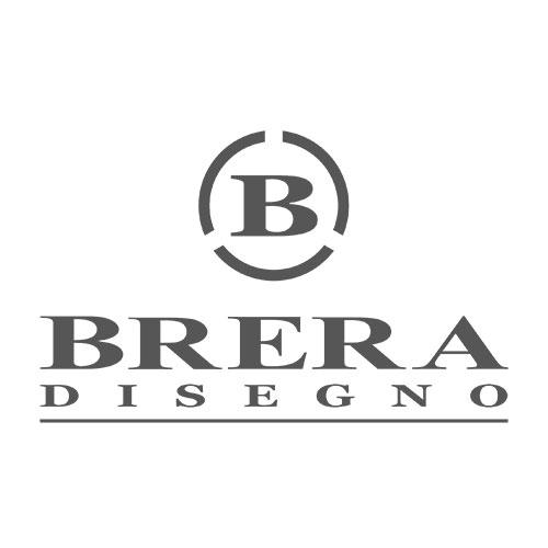 logo brem grigio caimi international