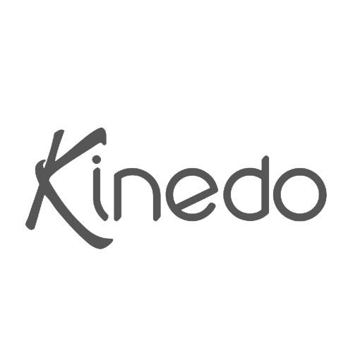 logo kinedo grigio caimi international