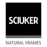 logo sciuker grigio caimi international