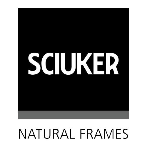 logo sciuker grigio caimi international