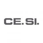 logo cesi ceramica grigio caimi international