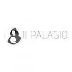 logo palagio grigio caimi international