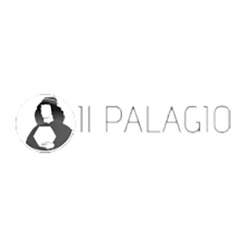 logo palagio grigio caimi international