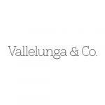 vallelunga logo caimi international