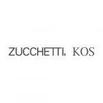 zucchetti logo caimi international