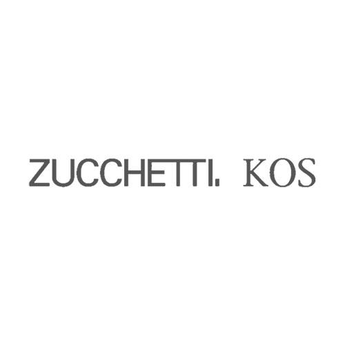 zucchetti logo caimi international